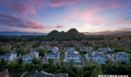 患者派对官方最新爆料,患者派对背后的惊人真相