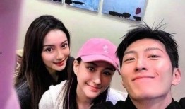 圈内爆料何超莲事件视频,圈内爆料引发热议